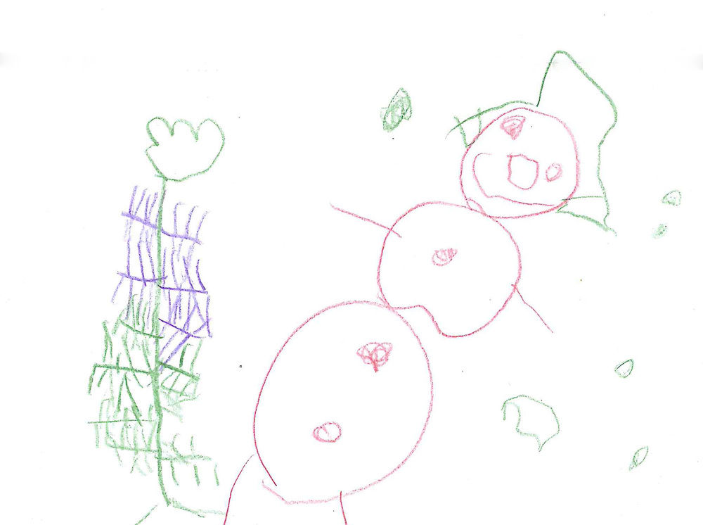 Kids' drawings, letters to Santa celebrate the season